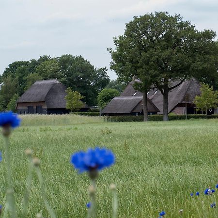 Gastenverblijf Lheederhof Dwingeloo Zewnętrze zdjęcie