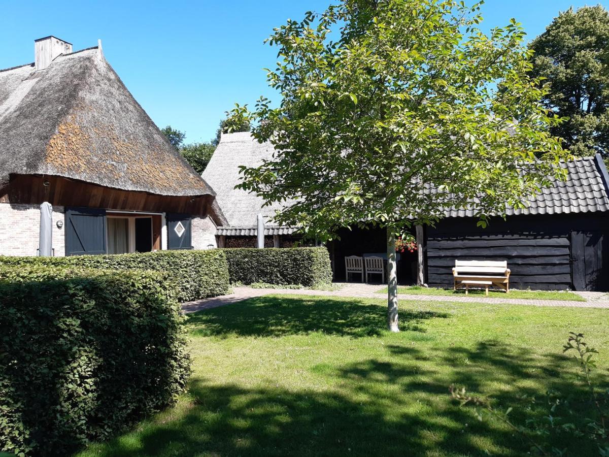 Gastenverblijf Lheederhof Dwingeloo Zewnętrze zdjęcie