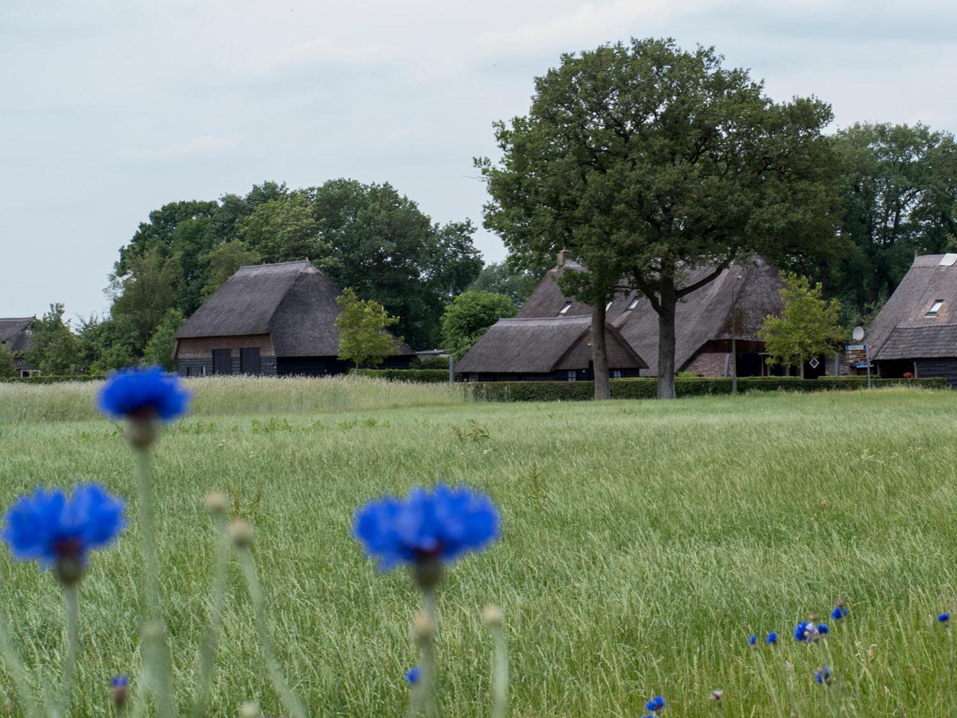 Gastenverblijf Lheederhof Dwingeloo Zewnętrze zdjęcie