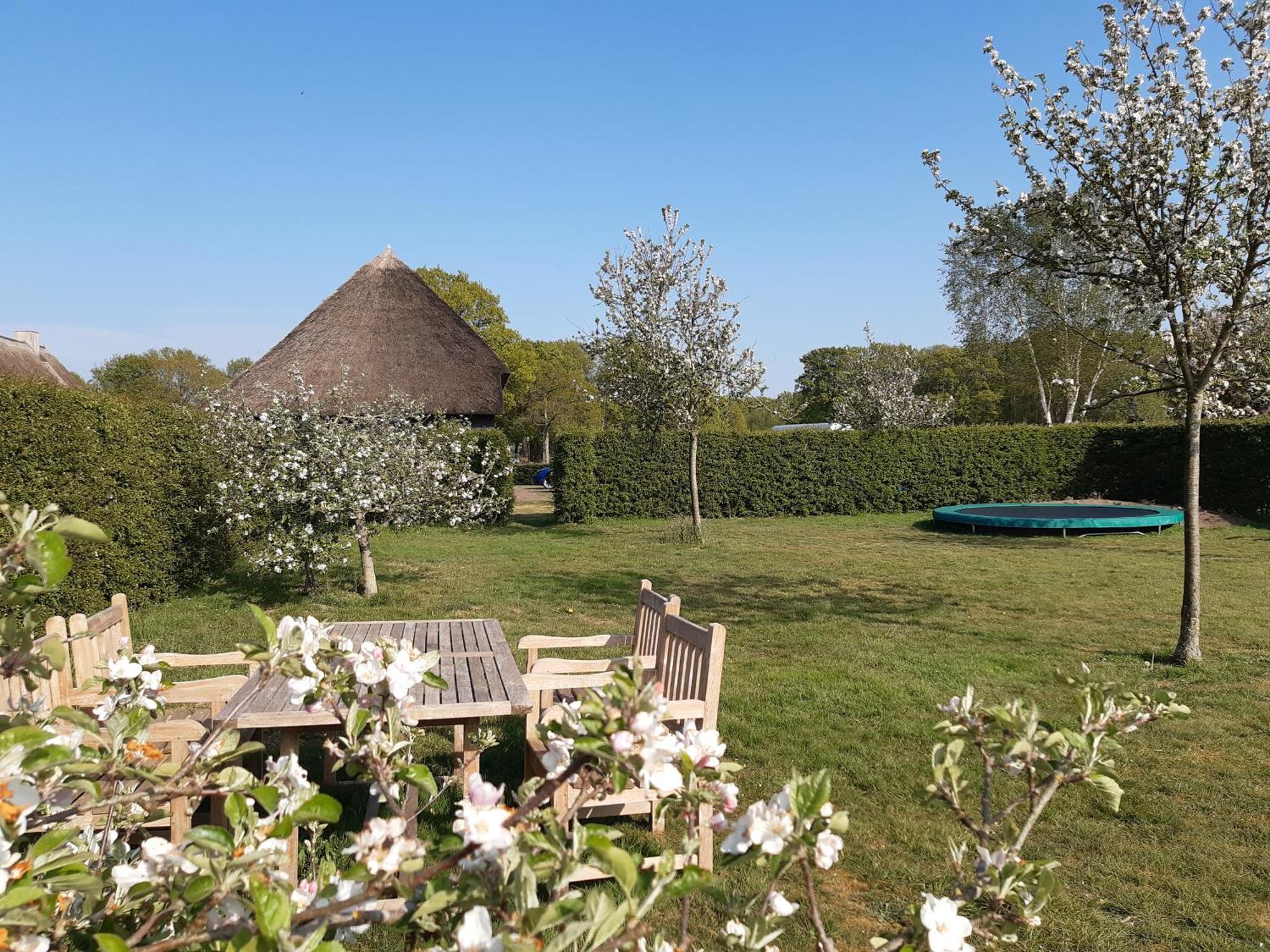 Gastenverblijf Lheederhof Dwingeloo Zewnętrze zdjęcie