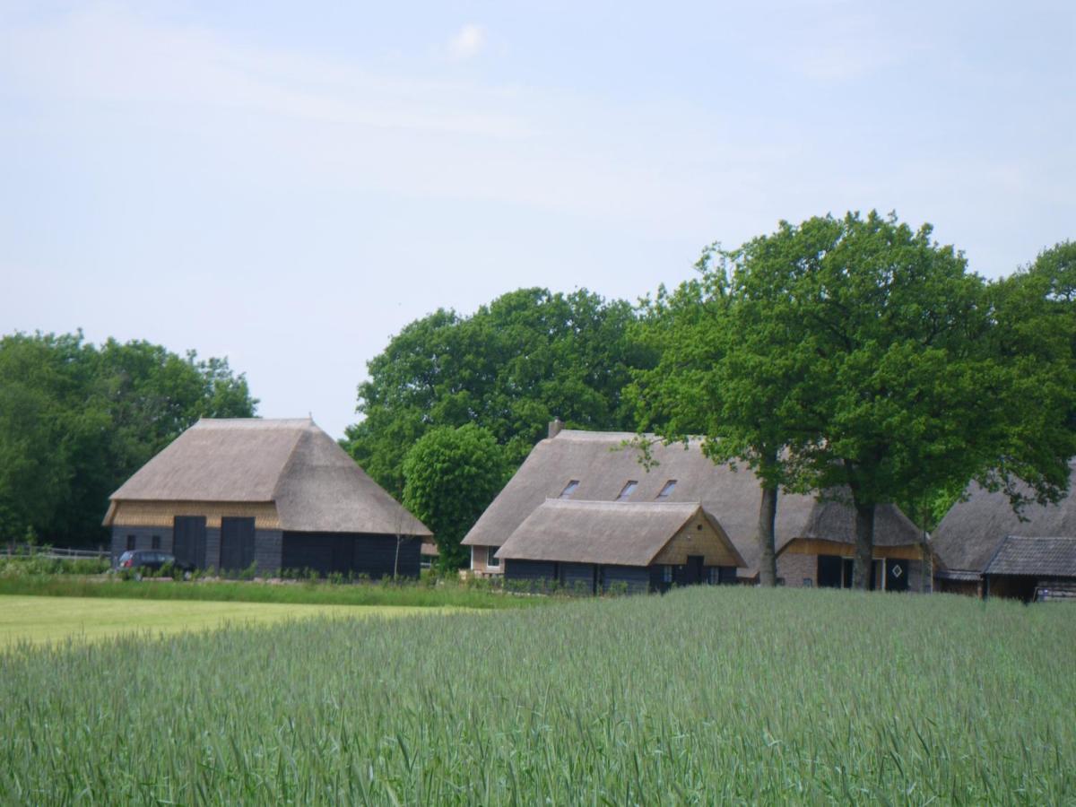 Gastenverblijf Lheederhof Dwingeloo Zewnętrze zdjęcie